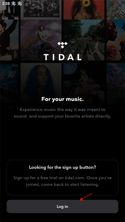 TIDAL׿°