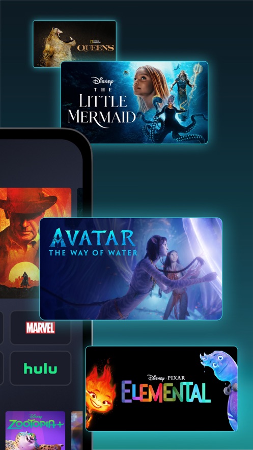 Disney+ٷ°v3.8.0-rc2-2024.10.02ͼ1