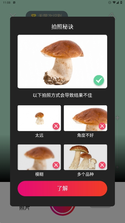 Picture Mushroomٷ°v2.9.27ͼ1