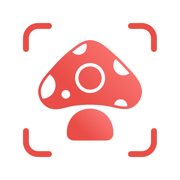 Picture Mushroomٷ°v2.9.27