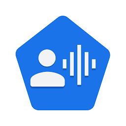 Voice Access׿°v6.3.681611719