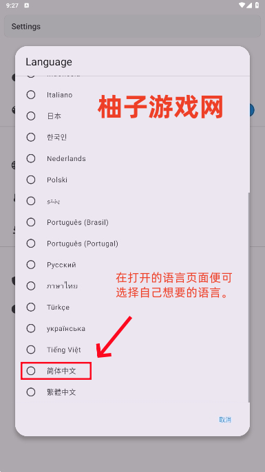 Device Info߼׿