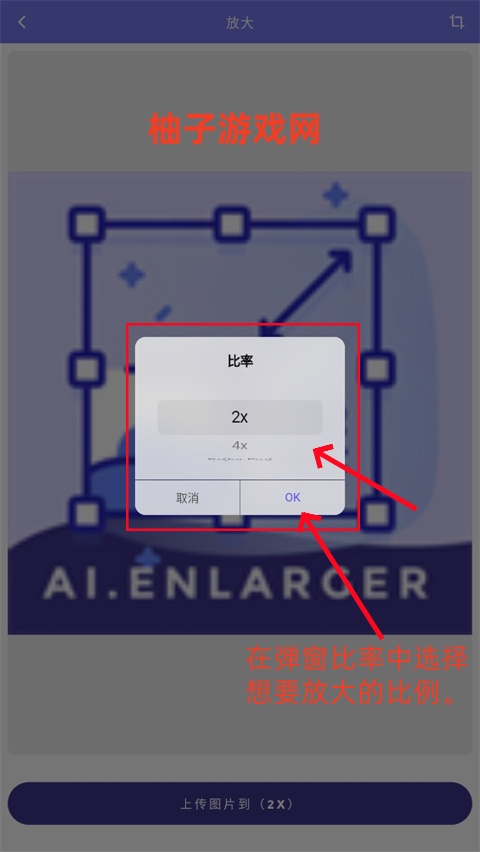 2x(AI Enlarger)ͼ°