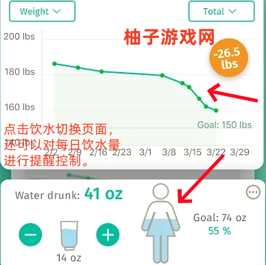 BodyFast߼°