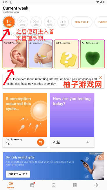 Pregnancyƽ