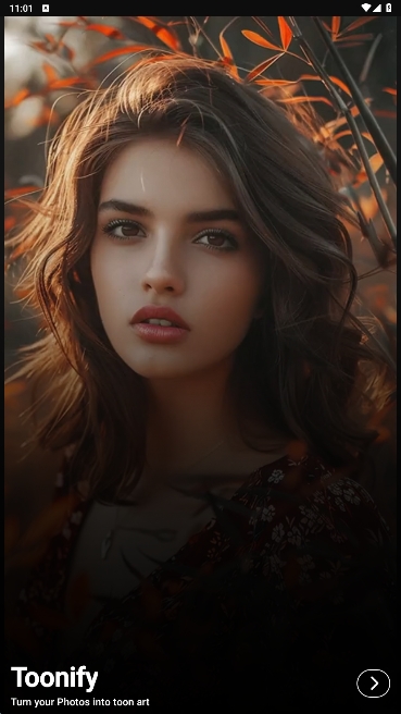 PicShiner软件官方正版下载v1.0.84截图4